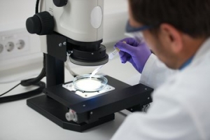 ʳˎOַeOJ䌍tеWjN۱O