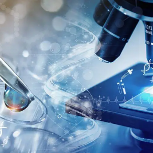 ˎO(jin)277(chung)t(y)е