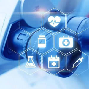 2024Їt(y)еH߷(hu)¡̩•15ЇHt(y)úĲĴ(hu)